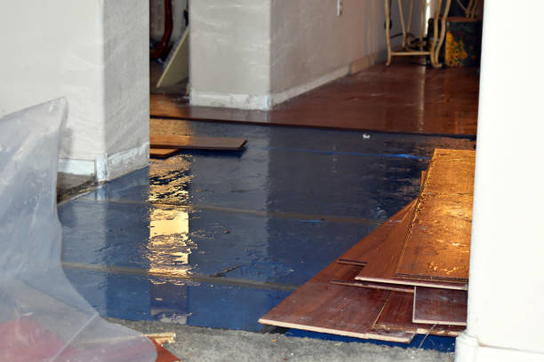 Professional Water Damage technician working in New London, OH