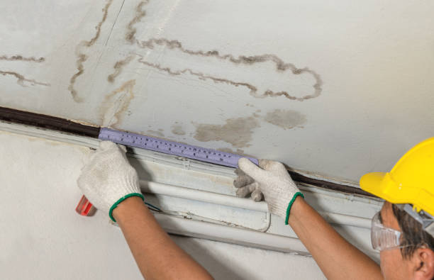 Reliable Water Damage contractor in New London, OH by Water Damage Irwin